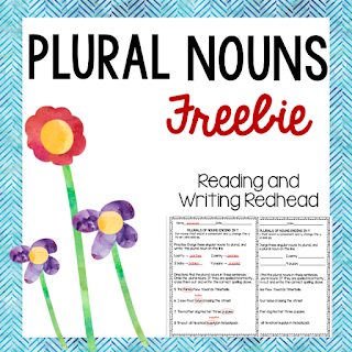 Image of cover of plural nouns freebie
