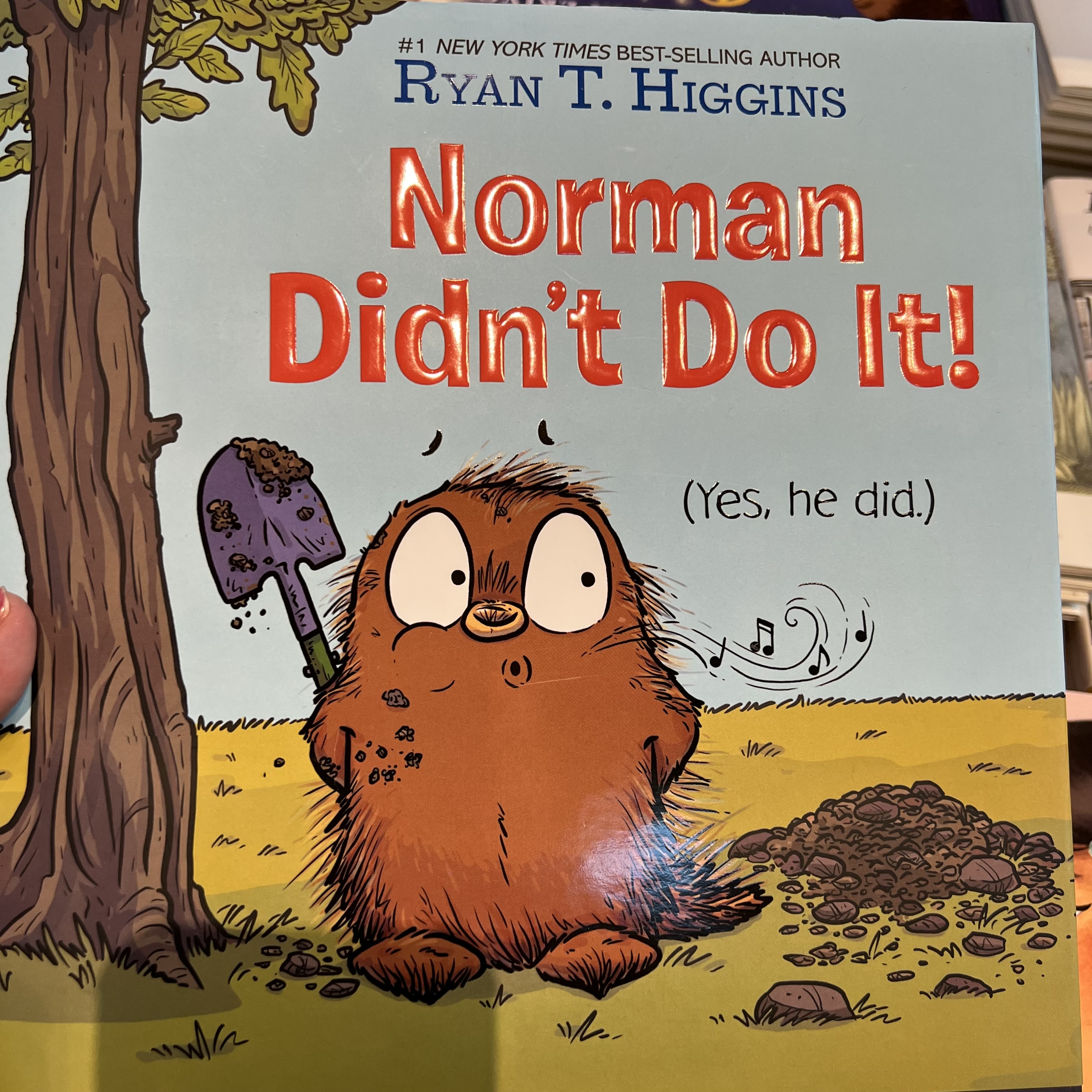 NORMAN DIDN'T DO IT BOOK